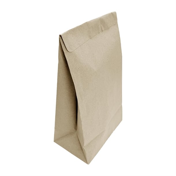 Fiesta Recyclable Sealable Takeaway Bags Medium (250 Pack)