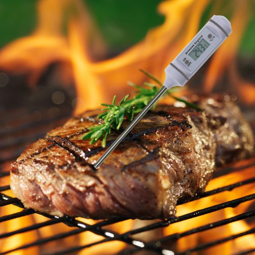 Brannan Pen Shaped Barrel Test Probe Thermometer