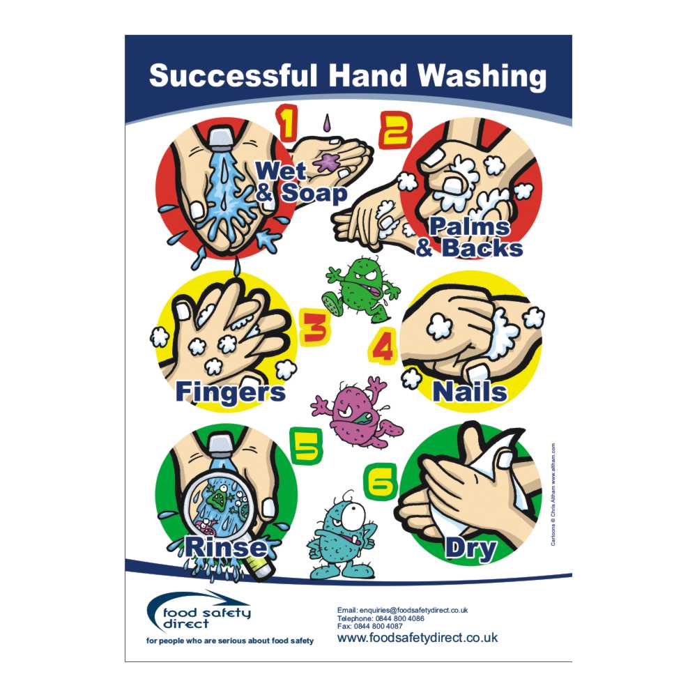 FSD Successful Handwashing Posters (A4)
