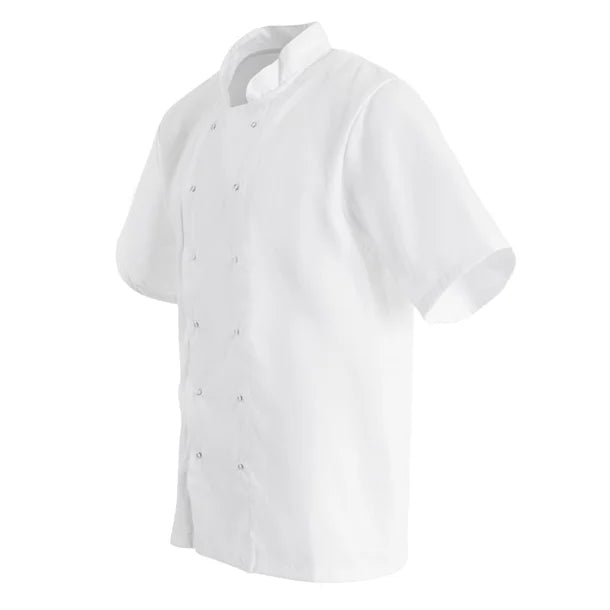 Boston White Chef Jacket (Short Sleeve)