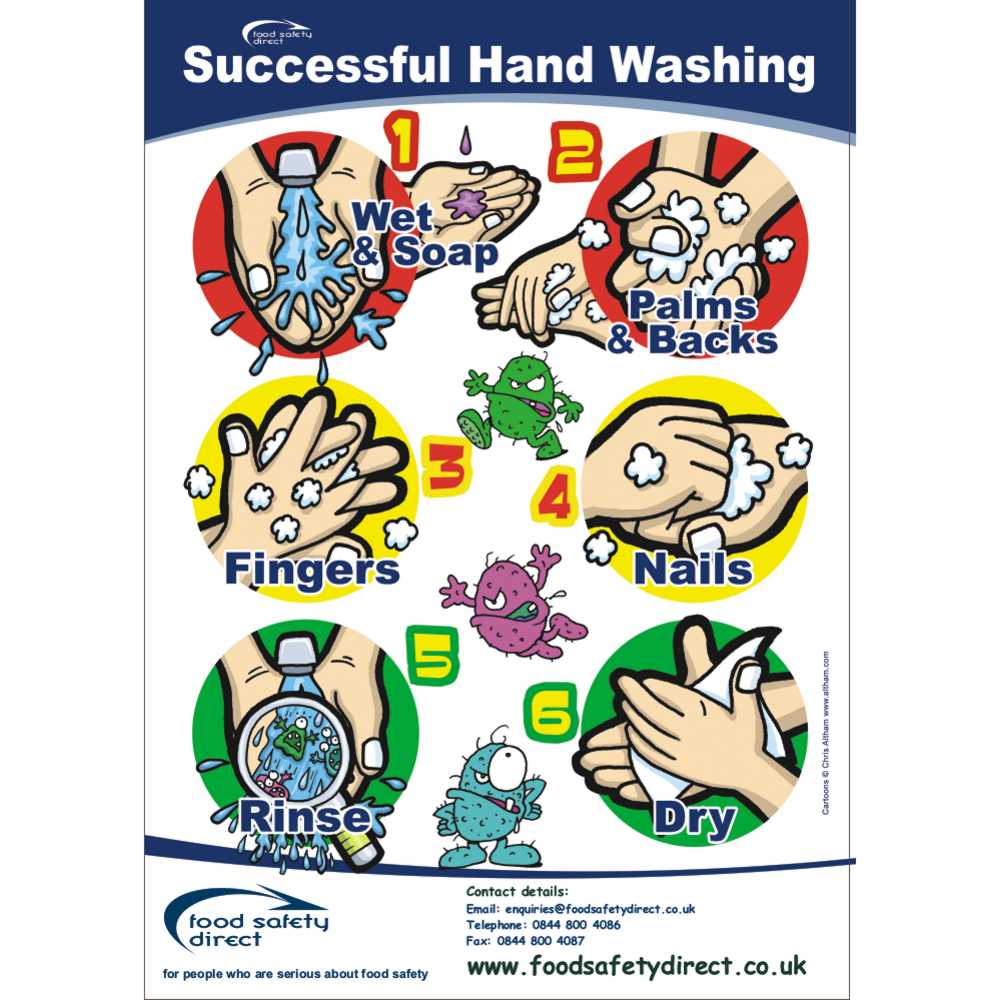 FSD Successful Handwashing Posters (A4)