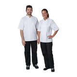 Vegas Chefs Jacket (Short Sleeve) - White